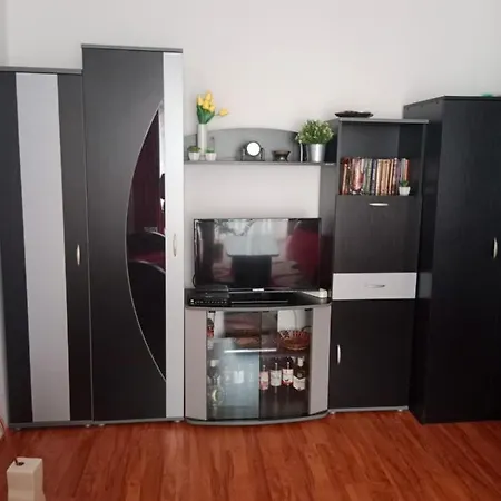 Apartamento Dragana Pirot