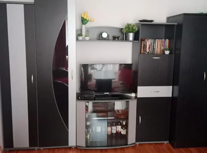 公寓 Dragana 皮罗特