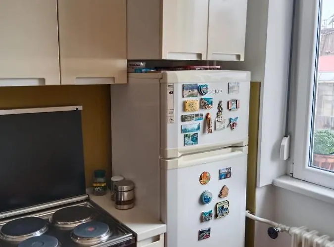 公寓 Dragana 皮罗特