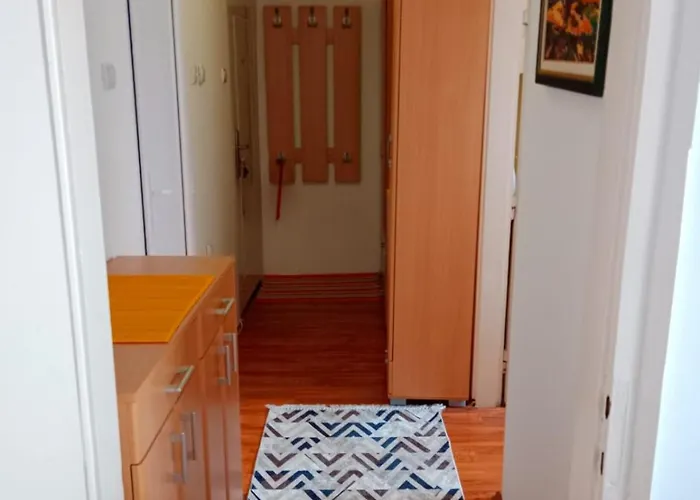 公寓 Dragana 皮罗特